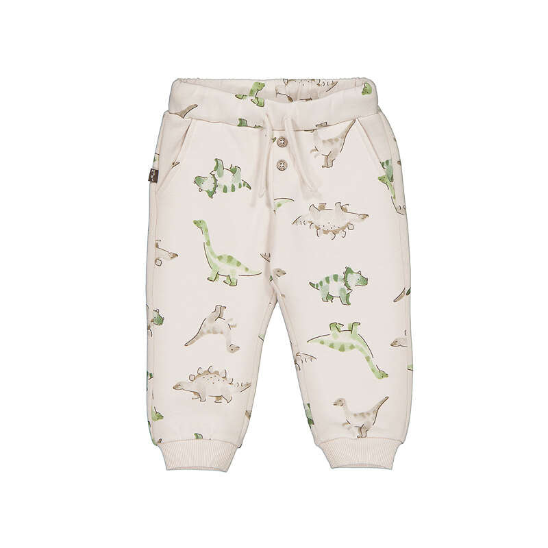2416 2538 DINO JOGGER SET