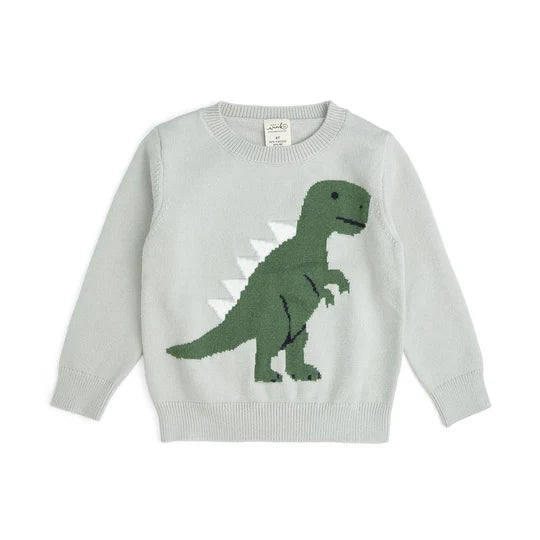 Dinosaur Sweater