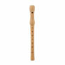 RECORDER
